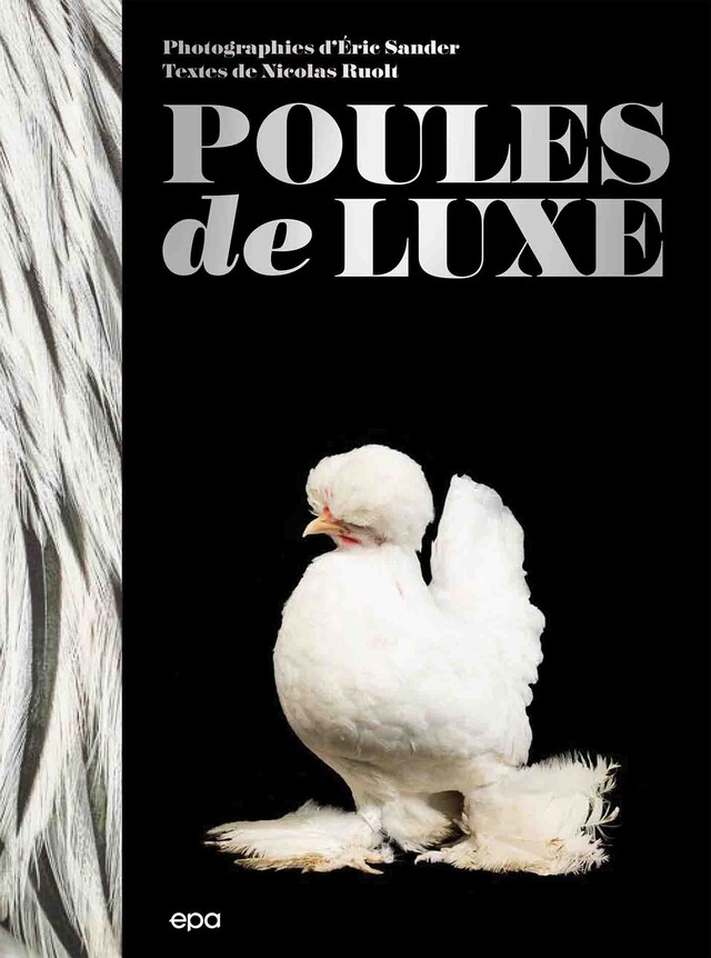 Poules de luxe - Nicolas Ruolt - E/P/A