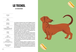 Con de chien - Bernard-Pierre Molin - E/P/A