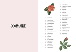 Au bonheur des roses - JULIE LASTERADE - E/P/A