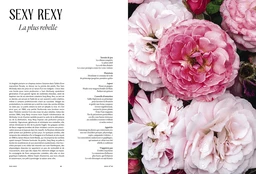 Au bonheur des roses - JULIE LASTERADE - E/P/A