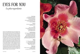 Au bonheur des roses - JULIE LASTERADE - E/P/A