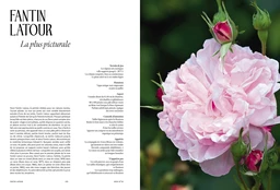 Au bonheur des roses - JULIE LASTERADE - E/P/A