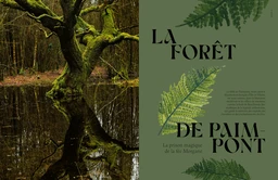 Forêts mythiques - Nicolas Ruolt - E/P/A