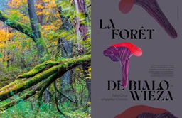 Forêts mythiques - Nicolas Ruolt - E/P/A