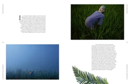 Forêts mythiques - Nicolas Ruolt - E/P/A