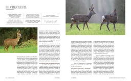 Le grand livre de la chasse - Extrait 1