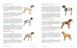 Le grand livre de la chasse - Extrait 4