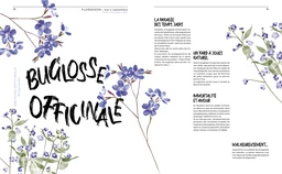 Sauvages - Extrait 4