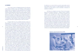 120 ans de l'Hôpital américain de Paris - Extrait 3
